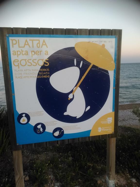 Apartamentos Aigua Oliva Vinarós Zewnętrze zdjęcie